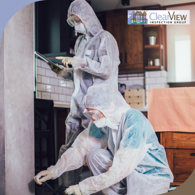 Clear View Inspection Group (15) Professional pest control specialists in protective suits inspecting a home interior.
