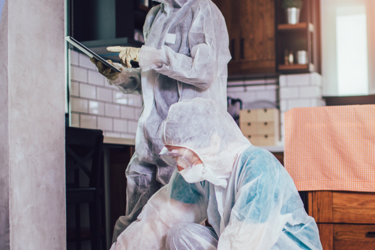 Clear View Inspection Group (15) Professional pest control specialists in protective suits inspecting a home interior.